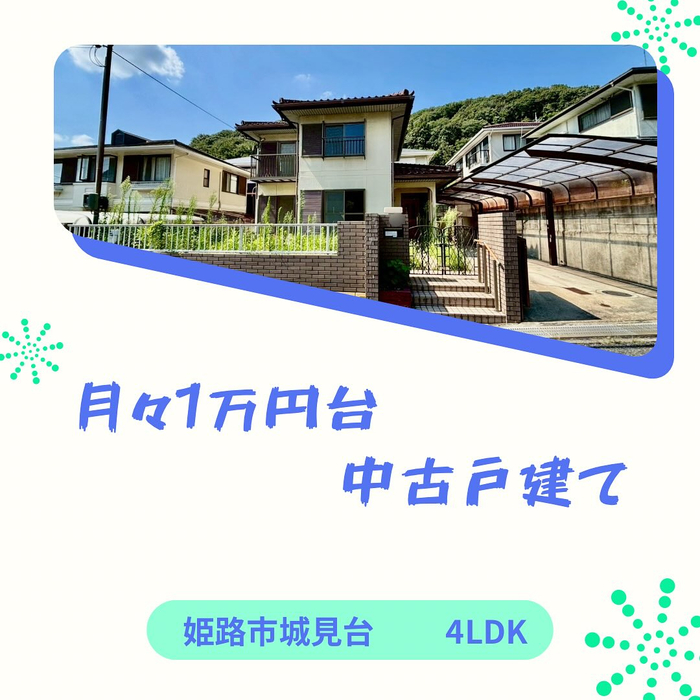 画像1052