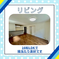画像1161