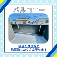 画像1168