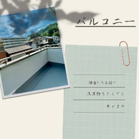 画像1244
