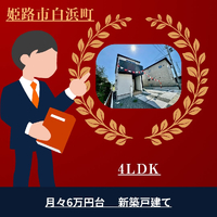 画像1248