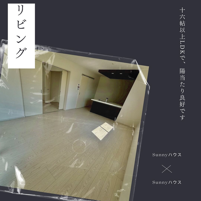 画像1251