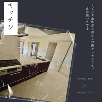 画像1252