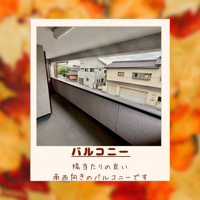画像1517