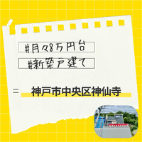 画像242