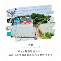 画像243