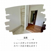 画像253