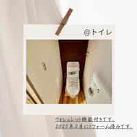 画像291