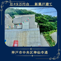 画像455