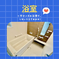画像462