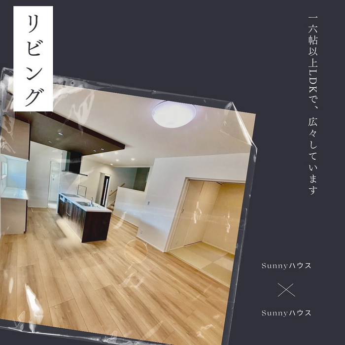 画像485