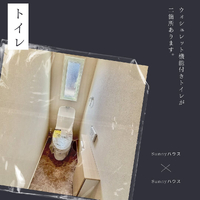 画像488