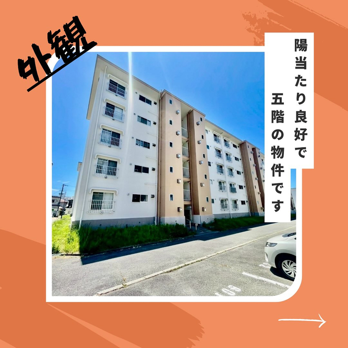 画像769