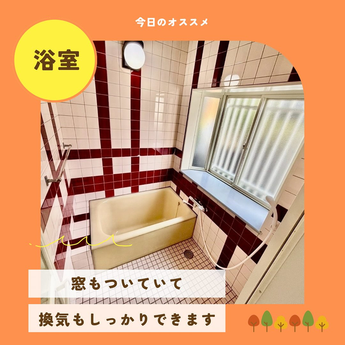 画像994